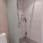 Arctic River بيت للعطل روفانييمي