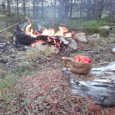 Arctic River * Rovaniemi