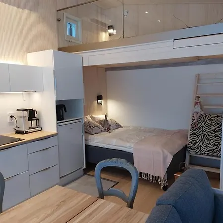 Arctic River Tatil Evi Rovaniemi