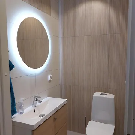 Arctic River * Rovaniemi