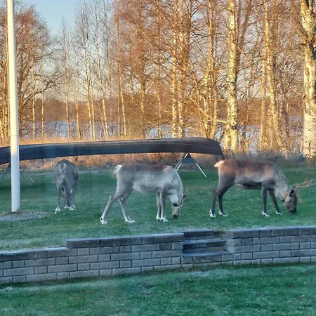 Holiday home Arctic River Rovaniemi