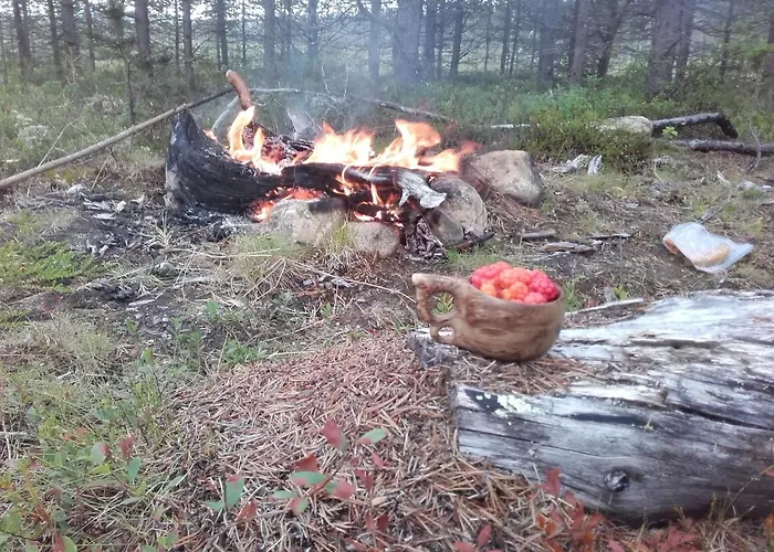 Arctic River * Rovaniemi