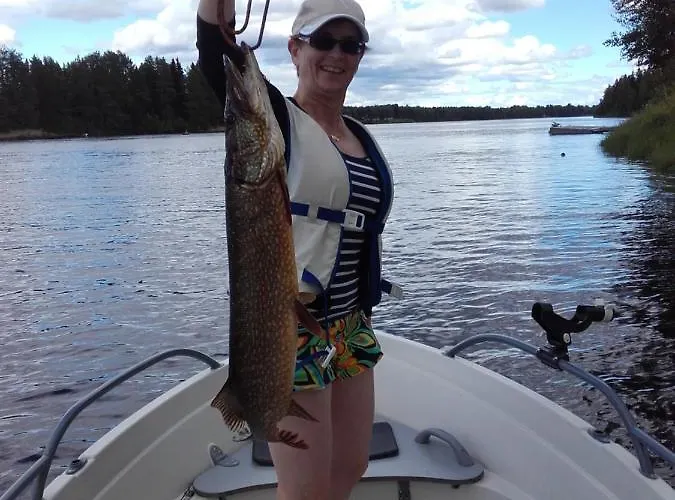 Arctic River Dom wakacyjny *