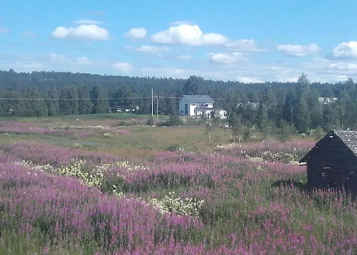 Dom wakacyjny Arctic River *