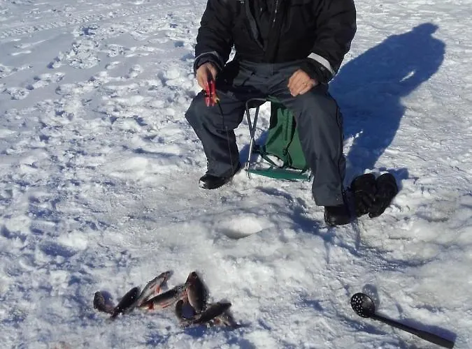 Arctic River Dom wakacyjny *