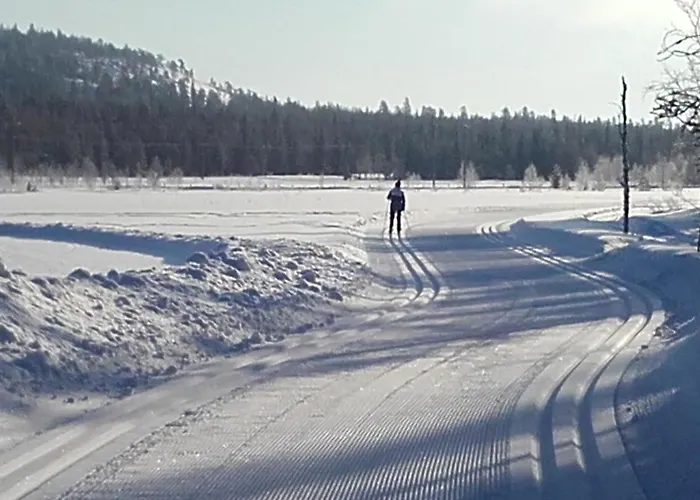 Dom wakacyjny Arctic River