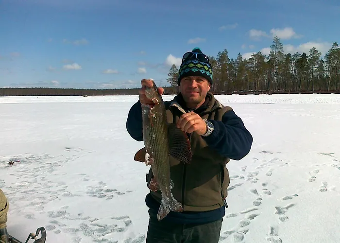 Dom wakacyjny Arctic River Rovaniemi