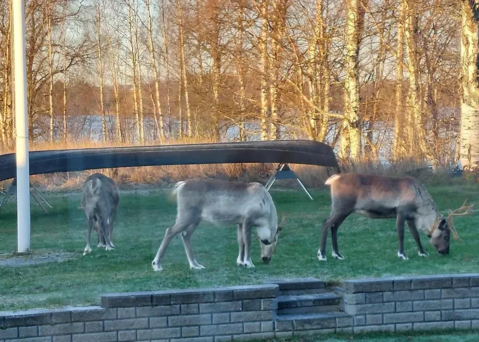 Dom wakacyjny Arctic River Rovaniemi